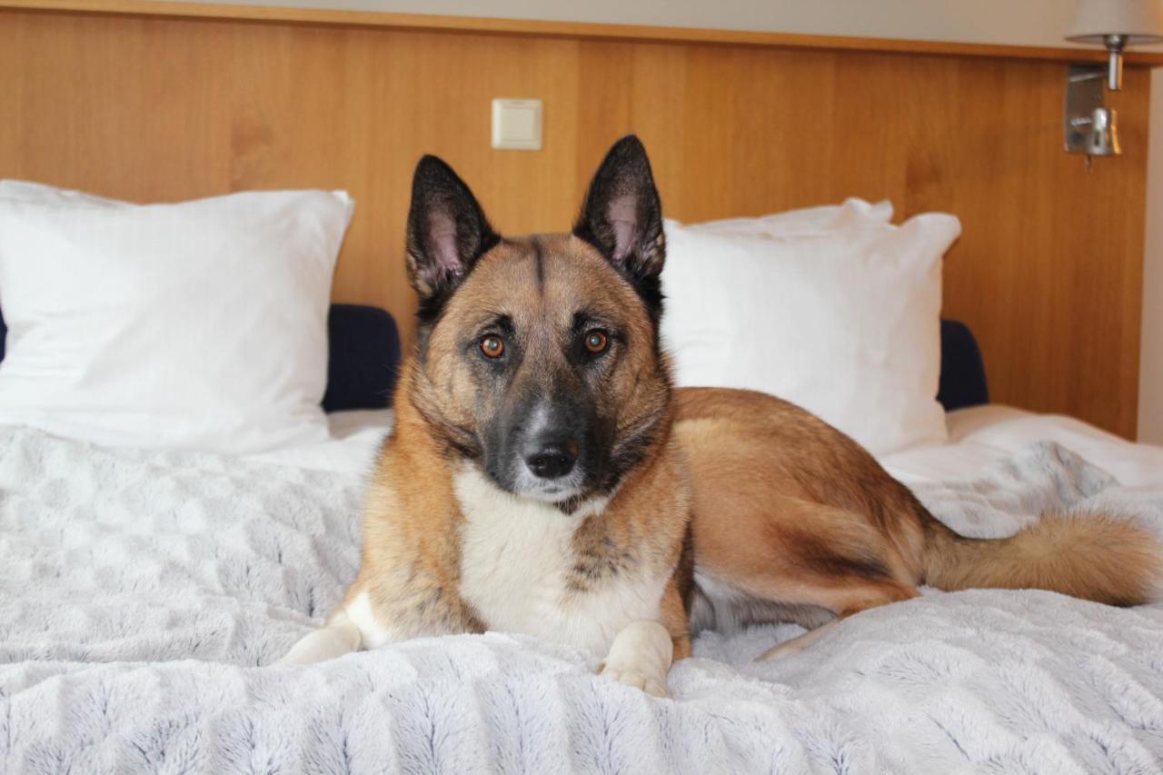 Best Western Hotel Halland Kungsbacka Luaran gambar
